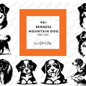 90+ Süßer Berner Sennenhund Bundle Hochwertige SVG PNG 300 DPI Druckbare transparente Hintergrund Dekoration Berner Sennenhund