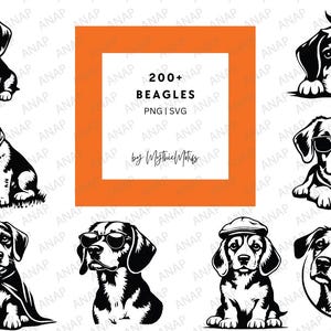 200+ schattige Beagles-bundel hoge kwaliteit SVG PNG 300 DPI afdrukbare bestanden transparante achtergrond prachtige decoratie