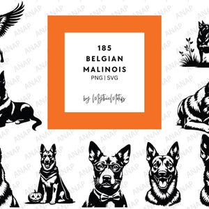185 fantastici cani da pastore belga Malinois in formato SVG PNG 300 DPI di alta qualità, stampabili, con sfondo trasparente, decorazione