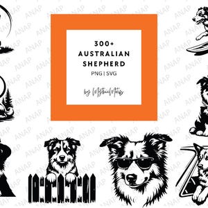 300+ schattige Australische herder bundel hoge kwaliteit SVG png 300 dpi printables transparante achtergrond prachtige decoratie