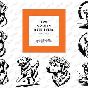 300 coole golden retriever-bundel hoge kwaliteit SVG png 300 dpi printables transparante achtergrond leuke mooie decoratie