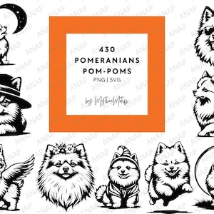 430 Pommeren bundel hoge kwaliteit SVG PNG 300 DPI afdrukbare transparante achtergrond decoratie mooie schattige decoratie Poms Pom-Pom Pomsy
