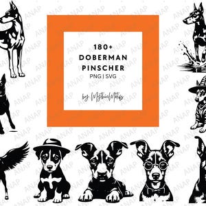 180+ Doberman Pinscher Frenchies Bundle SVG PNG 300 DPI di alta qualità Stampabile Sfondo trasparente Decorazione Carino Sfacciato Senza Paura