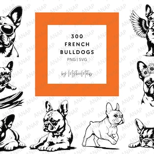 Mais de 300 lindos buldogues franceses Frenchies Pacote de alta qualidade SVG PNG 300 DPI para impressão Fundo transparente Decoração Bouledogue Francês