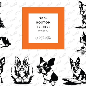 300+ schattige Boston Terrier-bundel hoge kwaliteit SVG PNG 300 DPI afdrukbare bestanden transparante achtergrond prachtige decoratie