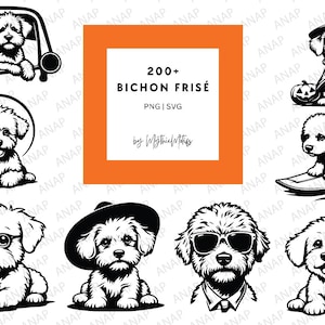 200+ schattige Bichon Frisé-bundel hoge kwaliteit SVG PNG 300 DPI afdrukbare bestanden transparante achtergrond prachtige decoratie