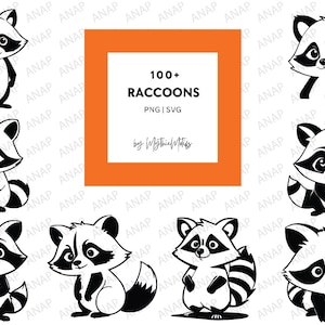 100+ schattige wasbeer SVG- en png-bundel 300 dpi hoogwaardige afdrukbare transparante achtergrond prachtige decoratie