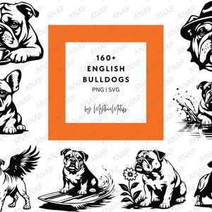 160+ schattige Engelse Bulldog Britse Bulldog-bundel Hoge kwaliteit SVG PNG 300 DPI printables transparante achtergrond mooie decoratie