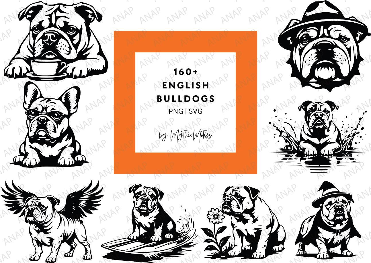 160+ Cute English Bulldog British Bulldog Bundle High Quality SVG PNG 300  DPI Printables Transparent Background Beautiful Decoration - Etsy, image size:1294x919