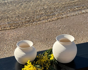 Lot de 2 vases décoratifs