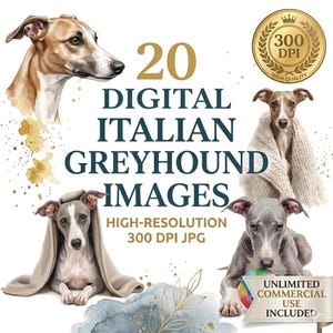 Puede incluir: Imágenes digitales de galgos italianos. Las ilustraciones muestran la raza, algunos envueltos en mantas y uno con una pelota. El texto incluye "20 DIGITAL ITALIAN GREYHOUND IMAGES" y "HIGH-RESOLUTION 300 DPI JPG".