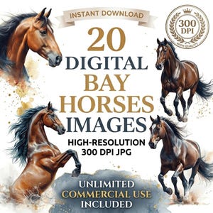 Peut inclure: Illustration numérique de quatre chevaux bais dans différentes poses. L'image comprend le texte "20 DIGITAL BAY HORSES IMAGES" et "HIGH-RESOLUTION 300 DPI JPG". L'œuvre est destinée à un usage commercial illimité.