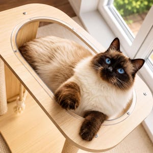 Cat Tree, Modern Activity Table | Wood | 85cm L x 59cm H x 39cm W, Clear Capsule Bed, Scratcher