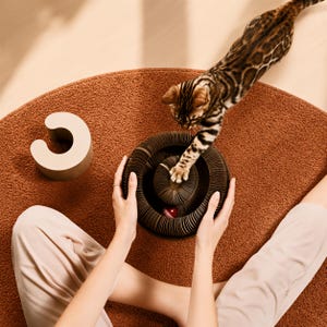 Cat Tunnel, Foldable Honeycomb Cardboard Toy - Rolling Ball Included, 24cm Diameter, 11cm Height
