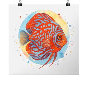 Discus Fish Watercolour Print – Vibrant Tropical Aquarium Art | Freshwater Fish Wall Decor | Discus Illustration | Aquascape Gift