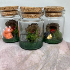 May include: Three glass jars with cork stoppers, each containing a miniature woodland scene. One jar features an orange fox figurine, another a grey bear, and the third a hedgehog. Each scene includes a small nest, greenery, and a ladybird.
