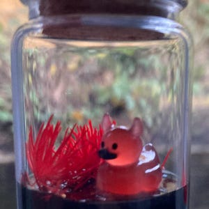 May include: A small, red, glass figurine of a creature with a rounded body and a black nose is inside a clear glass jar with a cork lid. The jar is filled with a dark liquid and red, feathery material.