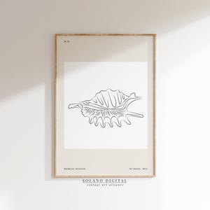 Minimalist Sea Shell Line Art Print, Coastal Wall Decor Poster, Black and White Ocean Illustration, Printable Beach Art, Digital Download