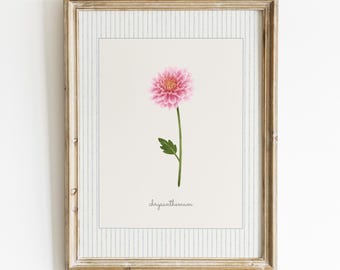 November Birth Flower Print, Chrysanthemum Wall Art, Blue Stripe Botanical Printable, Cottagecore Decor, Birthday Gift, Digital Download