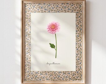 November Birth Flower Print, Chrysanthemum Printable Wall Art, Vintage Botanical Nursery Decor, Cottagecore Digital Download