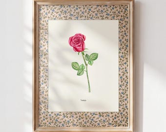 June Birth Flower Print, Rose Printable Wall Art, Vintage Botanical Nursery Decor, Cottagecore Digital Download