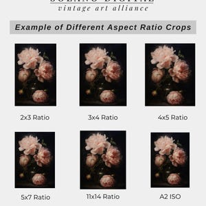 The image is a collage of six different aspect ratio cropped images of pink flowers in a vase, each with a different aspect ratio such as 2x3, 3x4, 4x5, 5x7, and 11x14.
