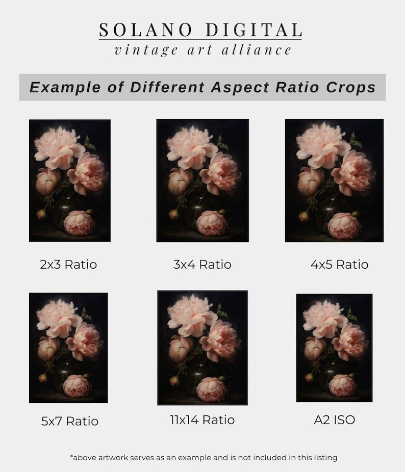 The image is a collage of six different aspect ratio cropped images of pink flowers in a vase, each with a different aspect ratio such as 2x3, 3x4, 4x5, 5x7, and 11x14.