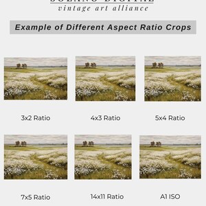 a bunch of different pictures of a field