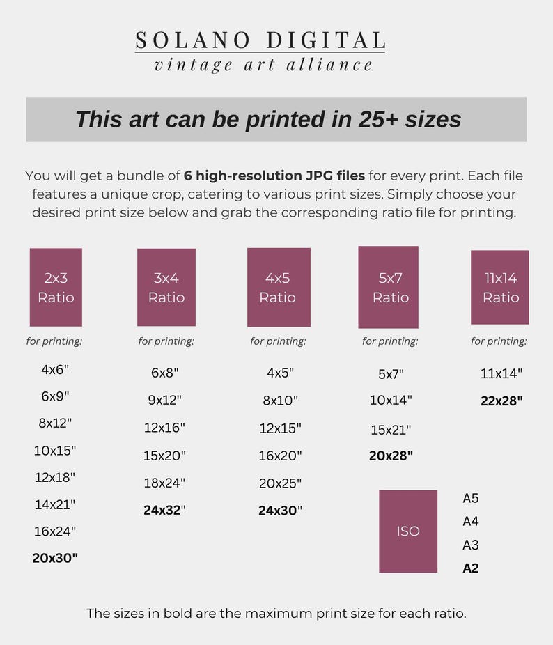 The image is a collection of various print sizes, each featuring a unique crop and catering to different print sizes. The maximum print size for each ratio is described in bold, and the sizes are the maximum print size for each ratio.