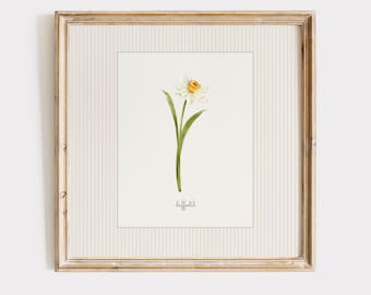Daffodil Print, March Birth Flower Art, Watercolor Botanical, Cottagecore Printable Wall Art, Digital Download
