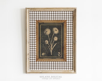 May include: Framed vintage art print featuring a botanical illustration of dandelions on a dark background. The artwork is set within a brown and white checkered pattern, framed in a gold-toned wooden frame. The number "3" is visible.