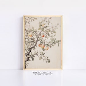 Vintage Apple Tree Print | Neutral Farmhouse Wall Art | PRINTABLE Download Country Sketch | 47