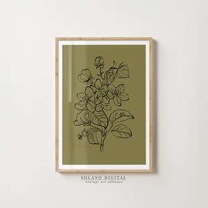 Vintage Botanical Flower Print – Line Art Floral Poster – Olive Green Wall Art – Minimalist Printable Art – Antique Style Flower Drawing Art