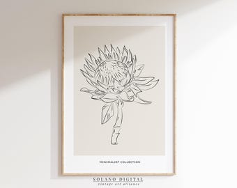 Protea Flower Line Art Print: Minimalist Botanical Illustration (Digital Download