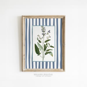 striped floral art prints grandmillenial Vintage Botanical Herb Print with Blue Stripes botanical decor for home and office
