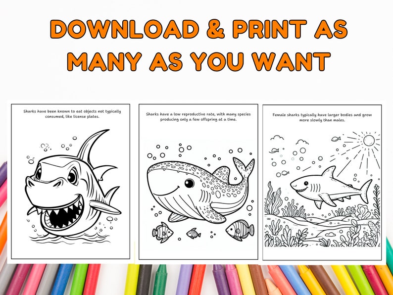 31 Shark Coloring Pages for Your Kids With Fun Facts Trivia Under the ...
