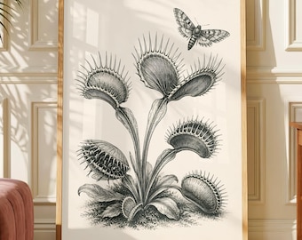 Antique Style Venus Flytrap Botanical Poster, Carnivorous Plant Engraving, Natural History Wall Art