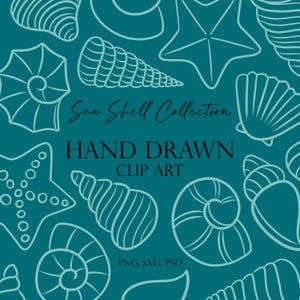Seashell Line Art Digital Clip Art | 18 Hand drawn Illustrations | Summer Beach Vacation