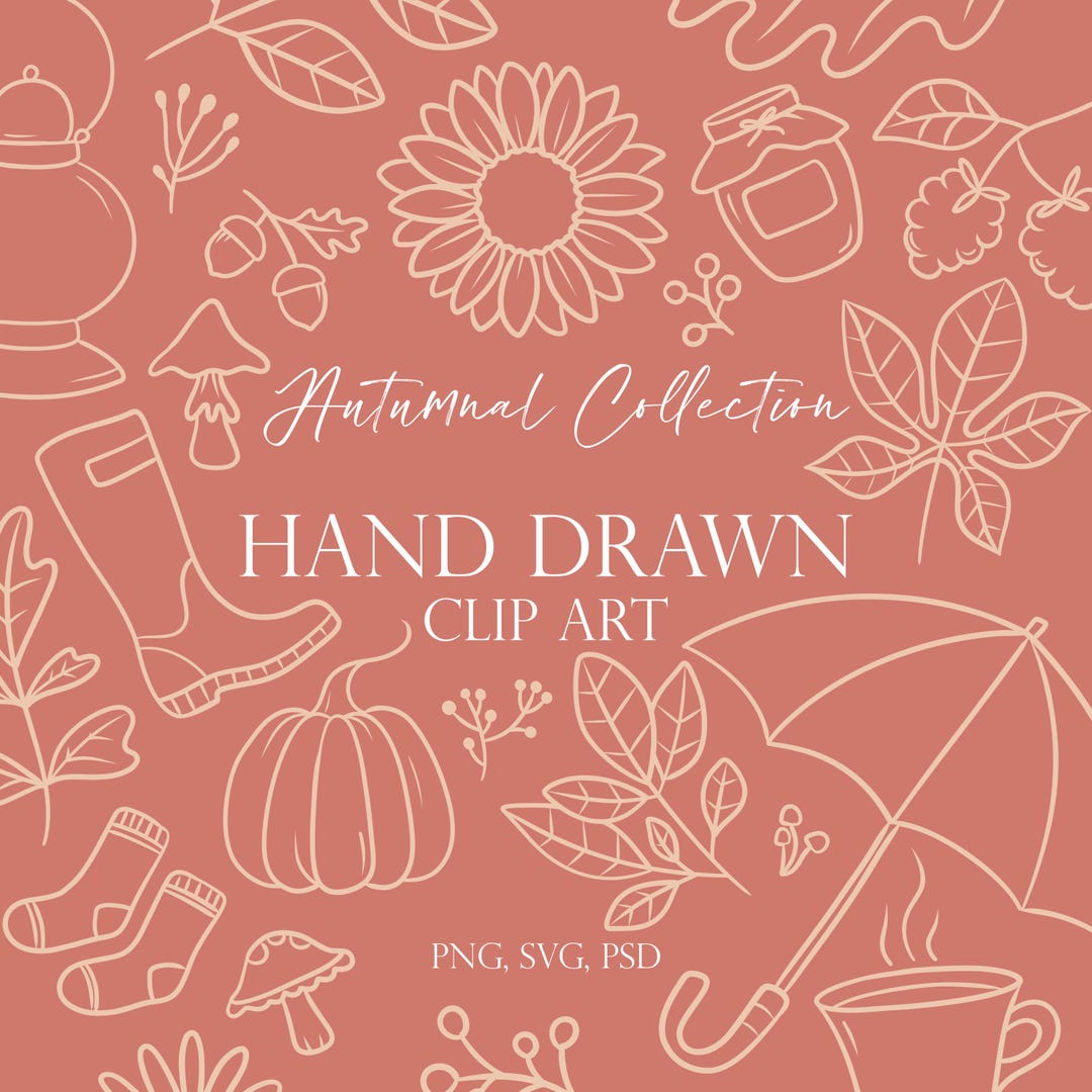 Fall Line Art Clip Art: 59 Hand-drawn Autumn Illustrations (PNG, SVG ...