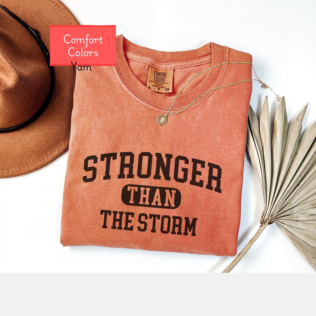Comfort Colors Christian Affirmations Shirt, Stronger Than the Storm ...