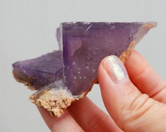 Puede incluir: Un cristal de fluorita púrpura con una textura rugosa y natural. El cristal tiene una forma geométrica afilada y está parcialmente cubierto por una matriz marrón claro.