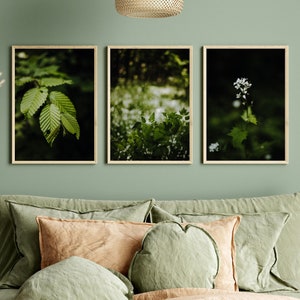 Poster-Set: Grüne Natur | Blätter | Digital Print | Kunstdruck | Wandbild | Wald | Geschenk | druckbare Kunst | Digitaler Download