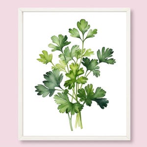 Peterselie schilderij kruiden aquarel afdrukbare Art Print peterselie stilleven digitale print keuken muur kunst boerderij muur decor