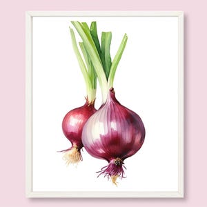 Onion Painting Vegetable Watercolor Printable Art Print Red Onion Digital Art Print Kitchen Still Life Farmhouse Wall Decor Onion Artwork