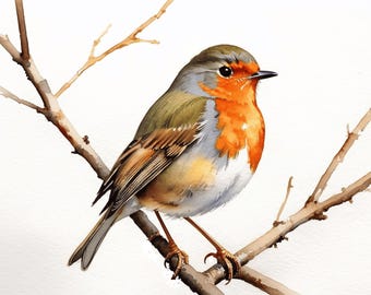 May include: A watercolor painting of a robin perched on a bare branch. The bird has a bright orange breast, a gray head, and brown wings. The branch is brown and has a few small leaves.