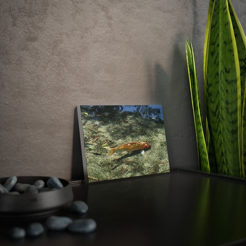 Canvas Photo Tile Wall Art, Fish Decor, Nautical Home Decoration, Ocean