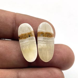 Può includere: Due pietre preziose ovali con base color crema e una fascia di inclusioni marroni e beige. Le pietre hanno una superficie lucida e sono esposte su sfondo bianco.