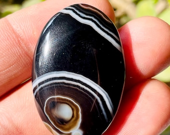May include: A polished, oval-shaped gemstone with a striking pattern of black and white bands. The stone features concentric circles and a central eye-like design with brown and white hues. The surface is glossy, reflecting light.