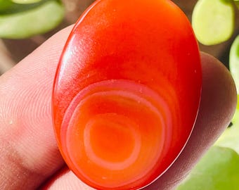 Piedra preciosa cabujón de ónix rojo / Suministro de joyería de ágata cornalina al por mayor / 31*22*4 MM 27CT.
