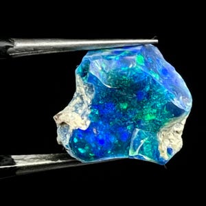 May include: A vibrant, raw opal gemstone held by tweezers against a black background. The opal displays a striking play of color, with deep blues and hints of green. The edges of the stone have a rough, natural texture with white patches.
